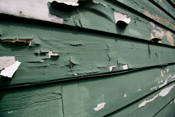 Property Management Cleanouts in Manvel, TX